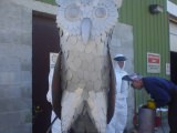 2011 “Majestic” Owl